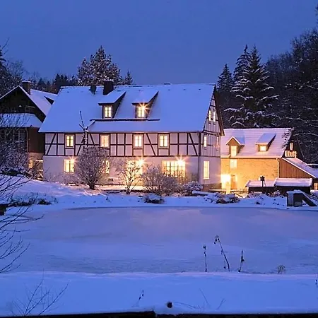 Romantik Baerenmuehle 3* Frankenau