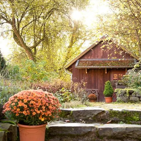 Romantik Baerenmuehle ホテル Frankenau