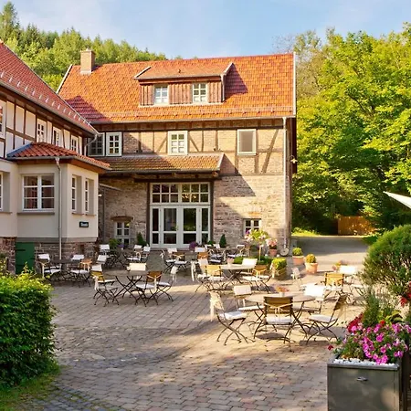 Hotel Romantik Bärenmühle Frankenau