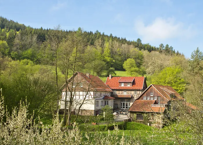 Hotel Romantik Baerenmuehle Frankenau